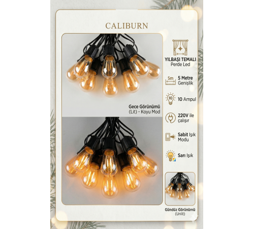 5 Metre Sabit Yanan Modlu 10 Ampul Parti Organizasyon Iç & Dış Mekan 2700K LED Aydınlatma Uzatma Fişli